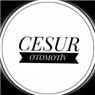 Cesur Otomotiv  - Yozgat